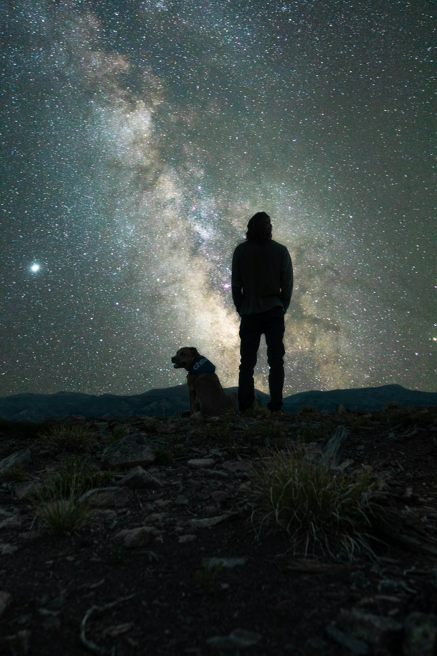 How to Capture Stunning Desert Dog Photos