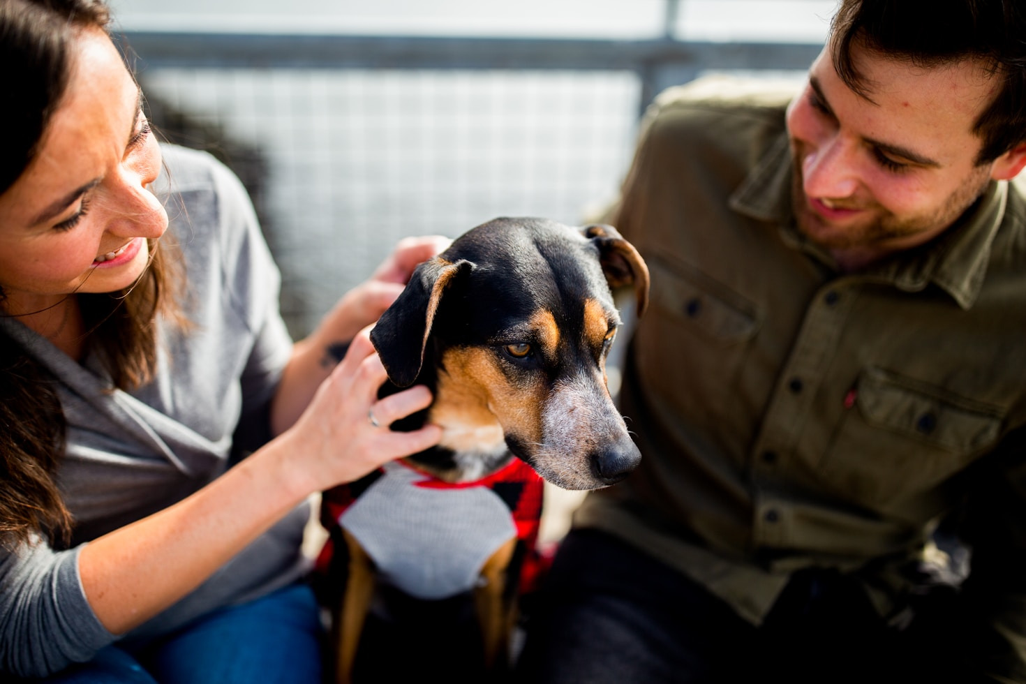 Exploring Desert Landscapes with Your Furry Friend